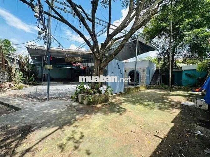 Cho thuê mặt bằng 600m2 ở đường Nguyễn Văn Linh gần chợ Hưng Lợi