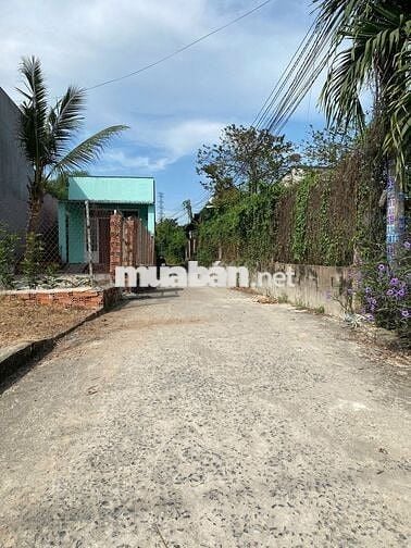 Mảnh đất 1380m2, có 300 thổ cư Phường Tân Khánh cần bán