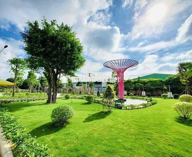 Căn hộ Iris Tower gần QL 13- Đã có sổ hồng - Nhận nhà ngay - Ngân hàng