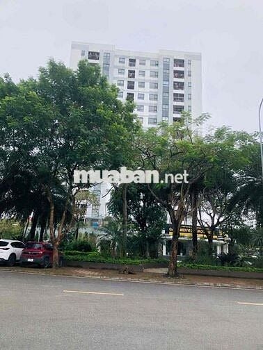 CHÍNH CHỦ BÁN ĐẤT TĐC GIANG BIÊN GIÁ 230 TR/m2. 72M2