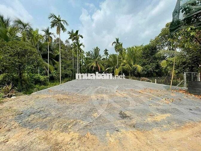 Anh mua đất mặt tiền đường An Sơn 01 An Sơn Thuận An Bình Dương