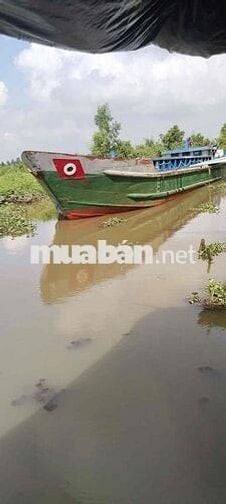 đất vườn view sông ở Bến Lức Long An