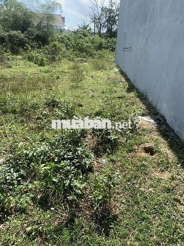 ĐẤT THỔ CƯ CÓ SỔ ĐỎ HOÀ PHƯỚC  100M2