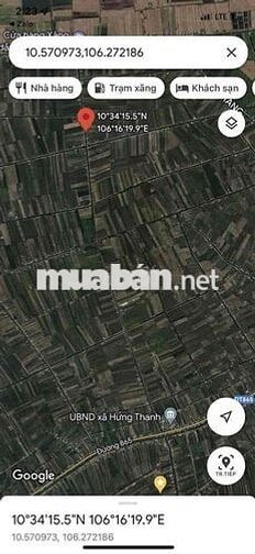 Bán đất mặt tiền H Tân Phước- TGiang( Đồng Tháp)