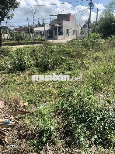 ĐẤT THỔ CƯ CÓ SỔ ĐỎ HOÀ PHƯỚC  100M2