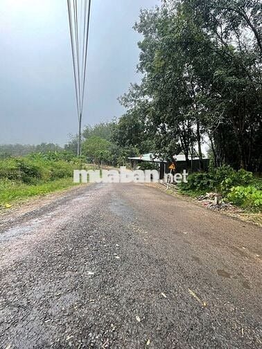 Lô thổ cư 350m2 mặt tiền đường nhựa thông liên xã rộng 19m. Ngay KCN