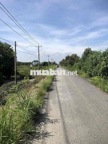 Bán đất mặt tiền H Tân Phước- TGiang( Đồng Tháp)