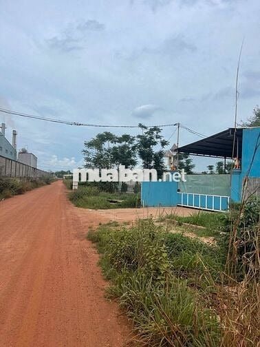 Hông Cụm Công nghiệp Tân Tiến 1-2. Xây trọ, kinh doanh, bãi xe quá ổn