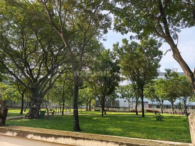 khu Tên Lửa 5x20m 3.5 tấm sẵn nội thất , 22 triệu/tháng, đối diện CV