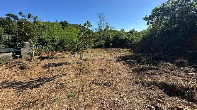 Chỉ hơn 4 triệu/m2 bán 1237m/200m thổ cư tại Yên Trung, Thạch Thất