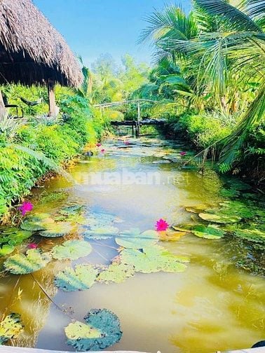 Đất thổ nhà vườn Nhơn Trạch giá rẻ 5,9TY/1900M, oto.SR chính chủ.NGỘP