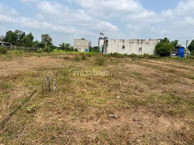 Đất thổ nhà vườn Nhơn Trạch giá rẻ 5,9TY/1900M, oto.SR chính chủ.NGỘP