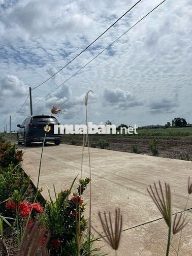 💸Giá chỉ có #189tr cho 1lô đất có thổ cư đường oto tại Tân Phú Đông