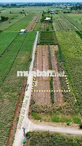 💸Giá chỉ có #189tr cho 1lô đất có thổ cư đường oto tại Tân Phú Đông