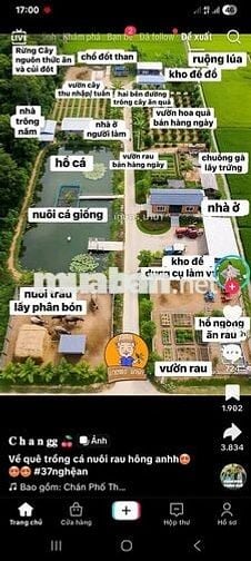 2800m2 Đất vườn MT đường 7m cách tỉnh lộ 816 được lên thổ cư 370m2