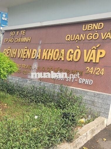 Nhà hẻm cách MT vài căn Quang Trung – 80m² – 3PN – Gò Vấp – 6.25 tỷ