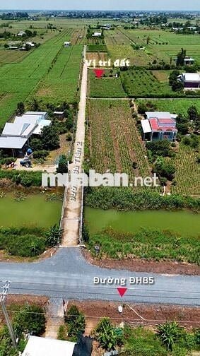 💸Giá chỉ có #189tr cho 1lô đất có thổ cư đường oto tại Tân Phú Đông