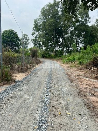 Đất thổ nhà vườn Nhơn Trạch giá rẻ 5,9TY/1900M, oto.SR chính chủ.NGỘP