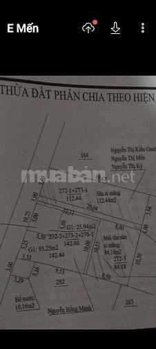 Chính chủ bán gấp mảnh đất mặt phố Đàm Quang Trung Long Biên 