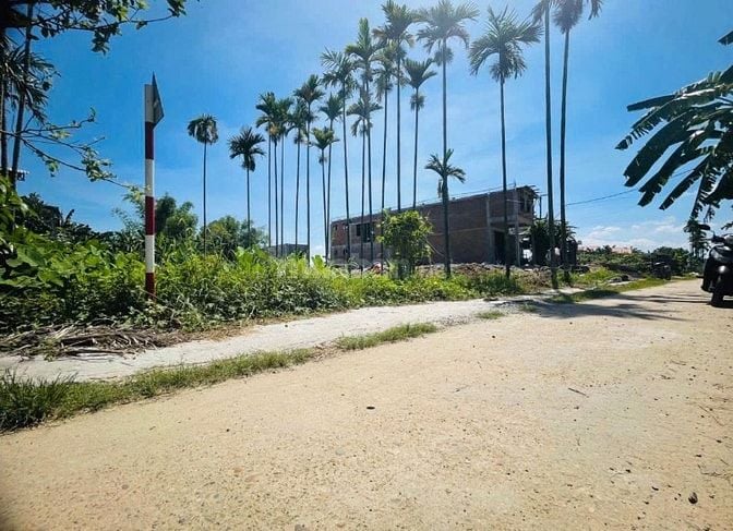 Bán Gấp Lô Nhà Vườn 370m² Điện Hồng – ĐT605 vào chỉ 200m – Giá Chỉ 750