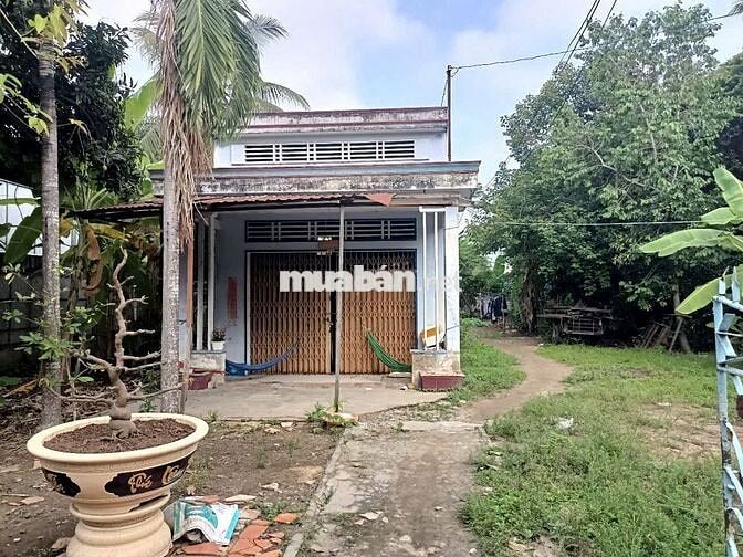 Thổ cư, tặng nhà vườn, Nguyễn Văn Trỗi, Long Châu, Tân Châu, An Giang.