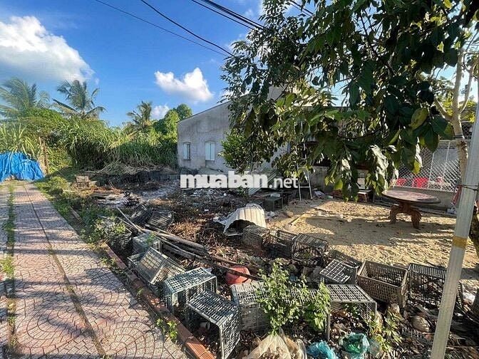 Ngân hàng thanh lý lô đất 494m2 tại thị trấn Phong Điền, TP. Cần Thơ