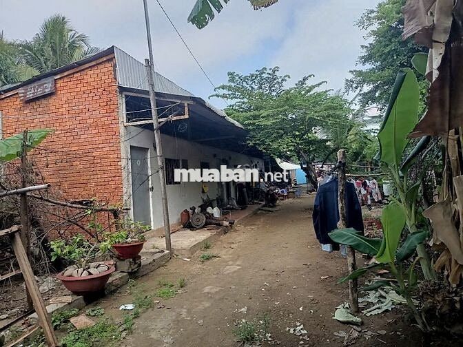 Thổ cư, tặng nhà vườn, Nguyễn Văn Trỗi, Long Châu, Tân Châu, An Giang.