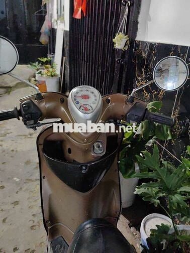 Mio Classico. Bstp . Giấy tờ đầy đủ