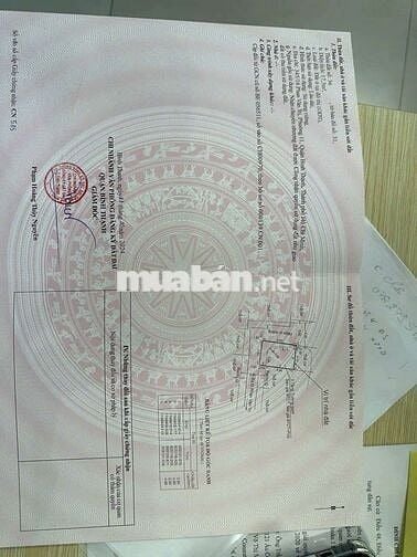 💒NHÀ ĐẸP SANG XỊN THIẾT KẾ KIỂU PHÁP💒