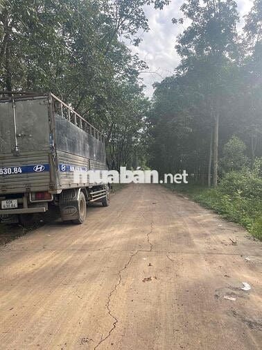 Đất nền Xã Đồi 61 cũ(xã An Viễn mới) 850 triệu 100m2 thổ cư 1sẹc ĐT777