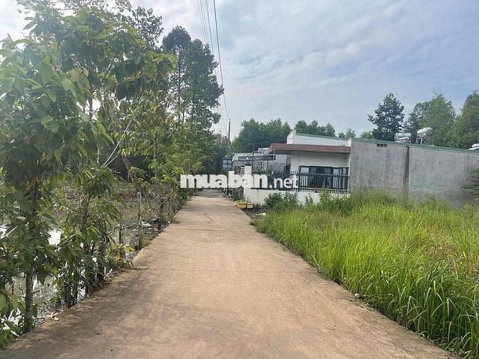 Đất nền Xã Đồi 61 cũ(xã An Viễn mới) 850 triệu 100m2 thổ cư 1sẹc ĐT777