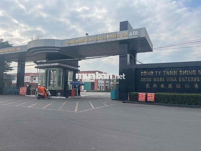 Đất nền Xã Đồi 61 cũ(xã An Viễn mới) 850 triệu 100m2 thổ cư 1sẹc ĐT777