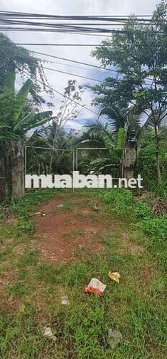 Chủ cần bán lô đất Mặt tiền Nguyễn Hoàng thanh bình thuộc xã Bàu Hàm