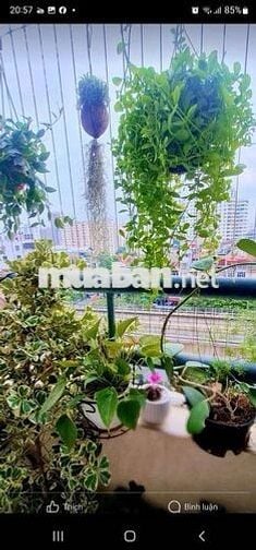 Căn CC Cầu Giấy - phân khúc 3,9 - 9 tỷ vị trí đẹp ở hoặc cho thuê ngay