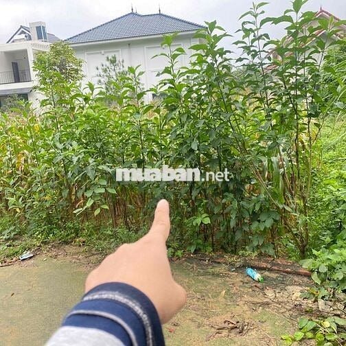 Chủ cần tiền bán gấp lô đất gần Trường ĐHQG ở Hoà Lạc DT 150m2