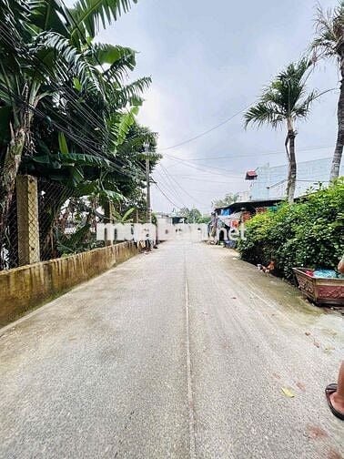 CCG BÁN NHÀ MỚI CHO KHÁCH ĂN TẾT Ở THỚI TAM THÔN