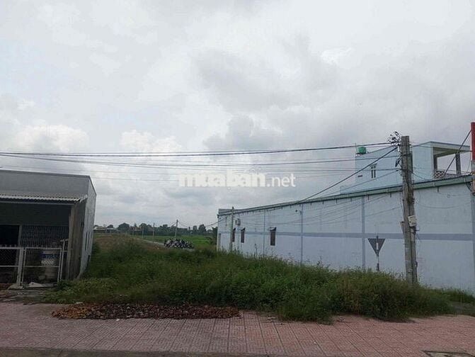 CẦN BÁN GẤP ĐẤT GẦN MẶT TIỀN TL830- SỔ RIÊNG