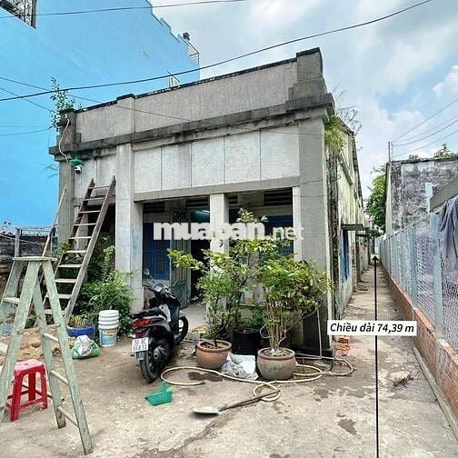 Đất mặt tiền Mễ Cốc Quận 8 – 788m² đẹp, thích hợp KD, giá 38 tỷ