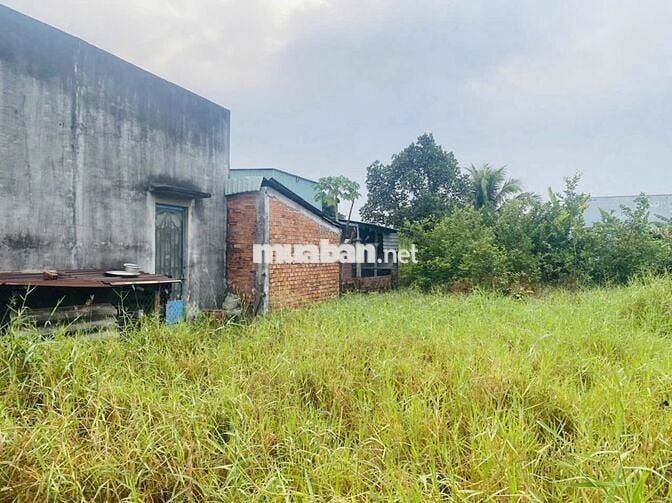 Bán đất chính chủ ko qua mua giới