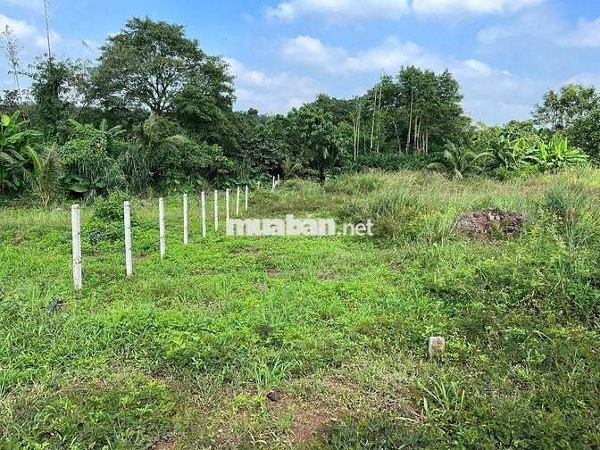 Bán lô đất vườn có thổ cư sát Sân bay Long Thành giáp suối tự nhiên