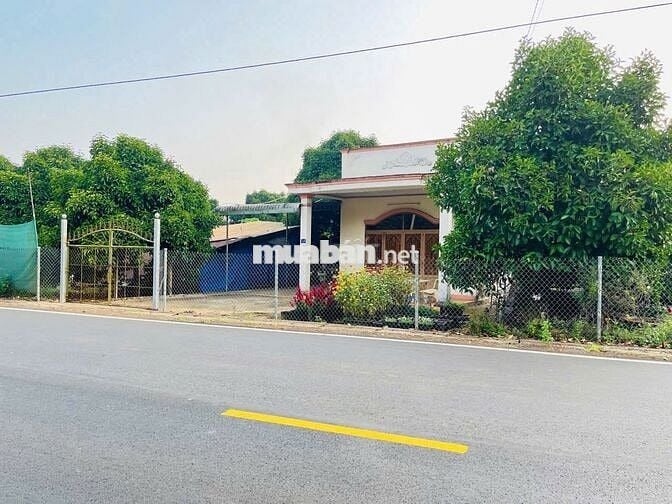 ĐẤT VƯỜN MĂNG CỤT 2145m² KÈM CĂN NHÀ CẤP 4 GIÁ CHỈ 366 TRIỆU