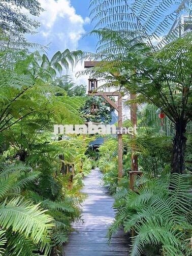 CHO THUÊ MẶT BẰNG KHU TÂN PHÚ 13X26M NỞ HẬU 30M