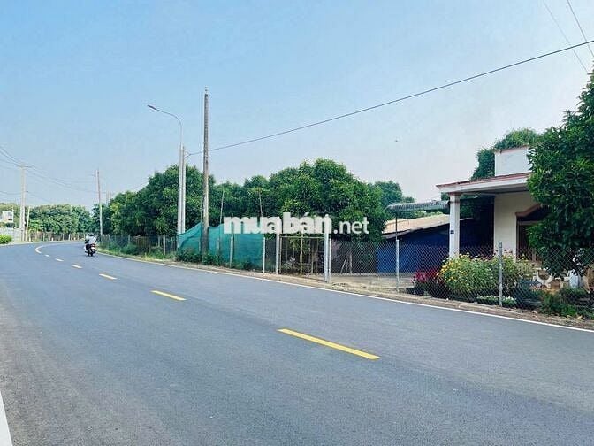 ĐẤT VƯỜN MĂNG CỤT 2145m² KÈM CĂN NHÀ CẤP 4 GIÁ CHỈ 366 TRIỆU