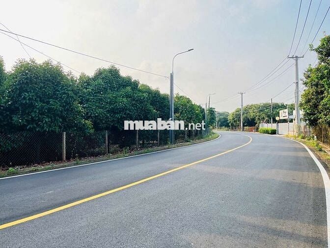 ĐẤT VƯỜN MĂNG CỤT 2145m² KÈM CĂN NHÀ CẤP 4 GIÁ CHỈ 366 TRIỆU