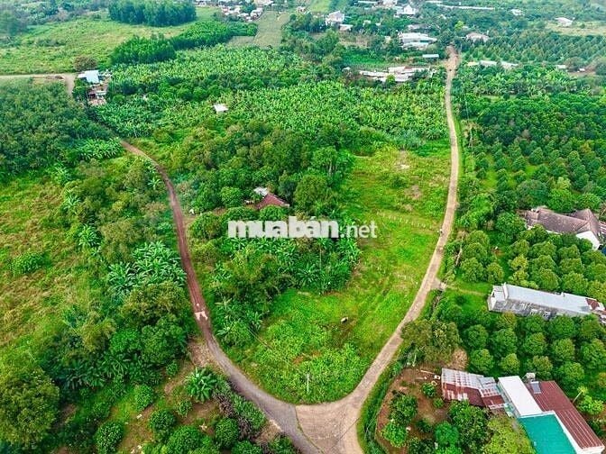 Bán lô đất vườn có thổ cư sát Sân bay Long Thành giáp suối tự nhiên