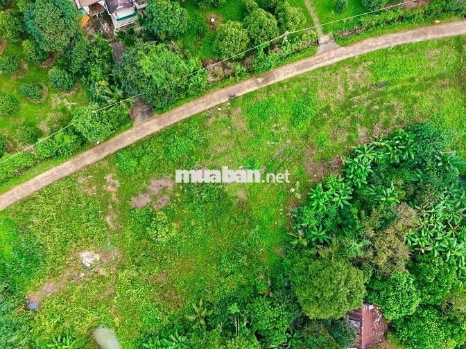 Bán lô đất vườn có thổ cư sát Sân bay Long Thành giáp suối tự nhiên