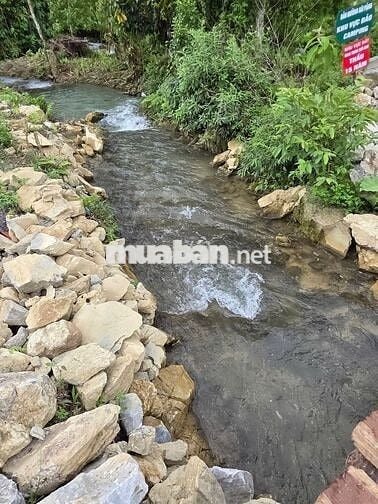 Bán lô đất vườn có thổ cư sát Sân bay Long Thành giáp suối tự nhiên