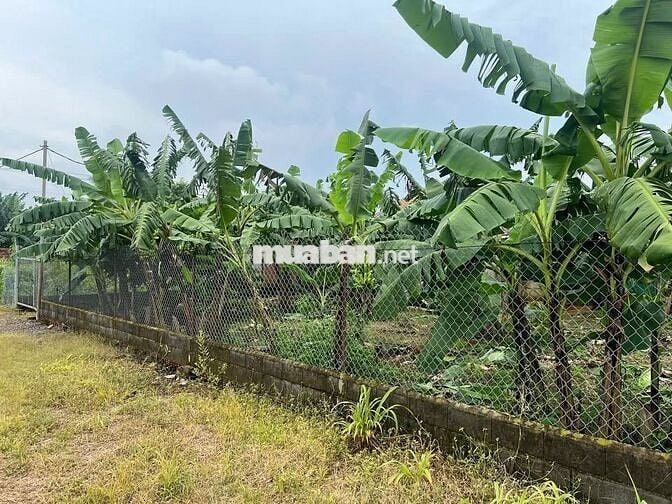 Bán lô đất vườn có thổ cư sát Sân bay Long Thành giáp suối tự nhiên