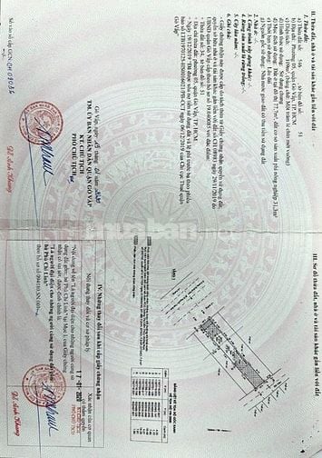 Mặt tiền đẹp nhất gò vấp, đường rộng 40 mét, quy hoạch chuẩn, đồng bộ