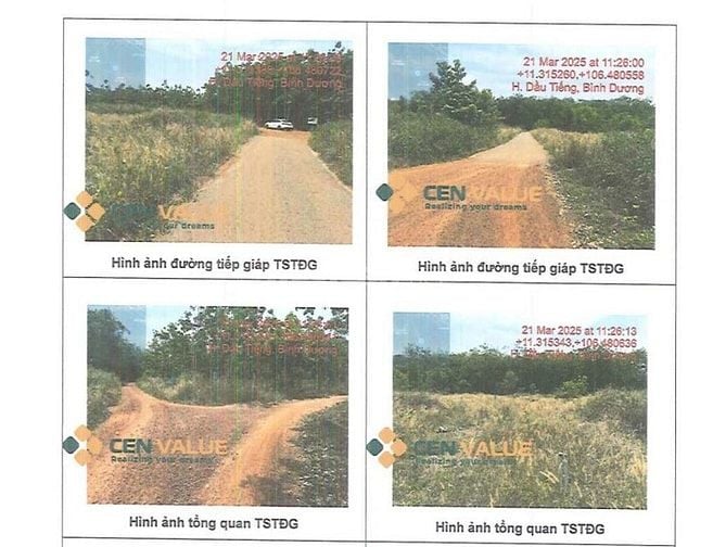 BÁN ĐẤU GIÁ TS VIB L4_LONG HOÀ, DẦU TIẾNG, BÌNH DƯƠNG, NAY LÀ TPHCM